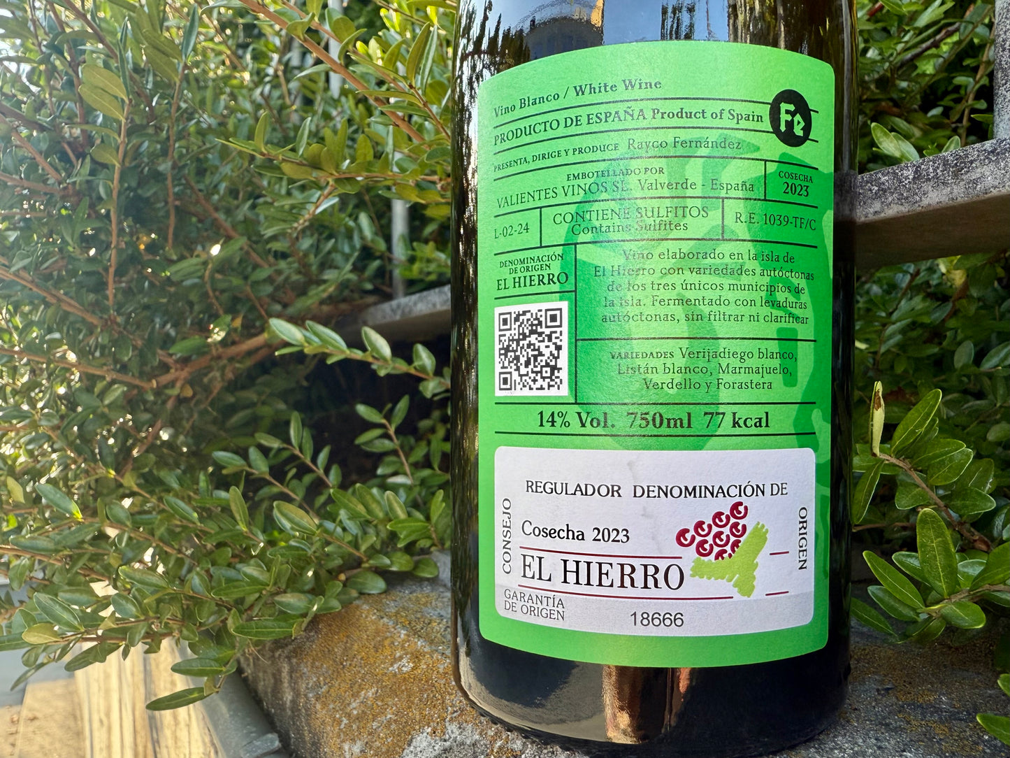 El Hierro Blanco 2023