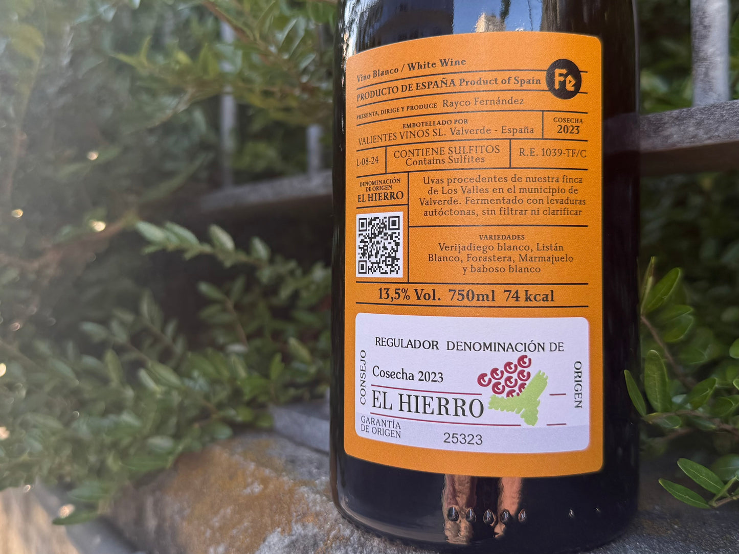 Grand Cruz del Calvario 2023